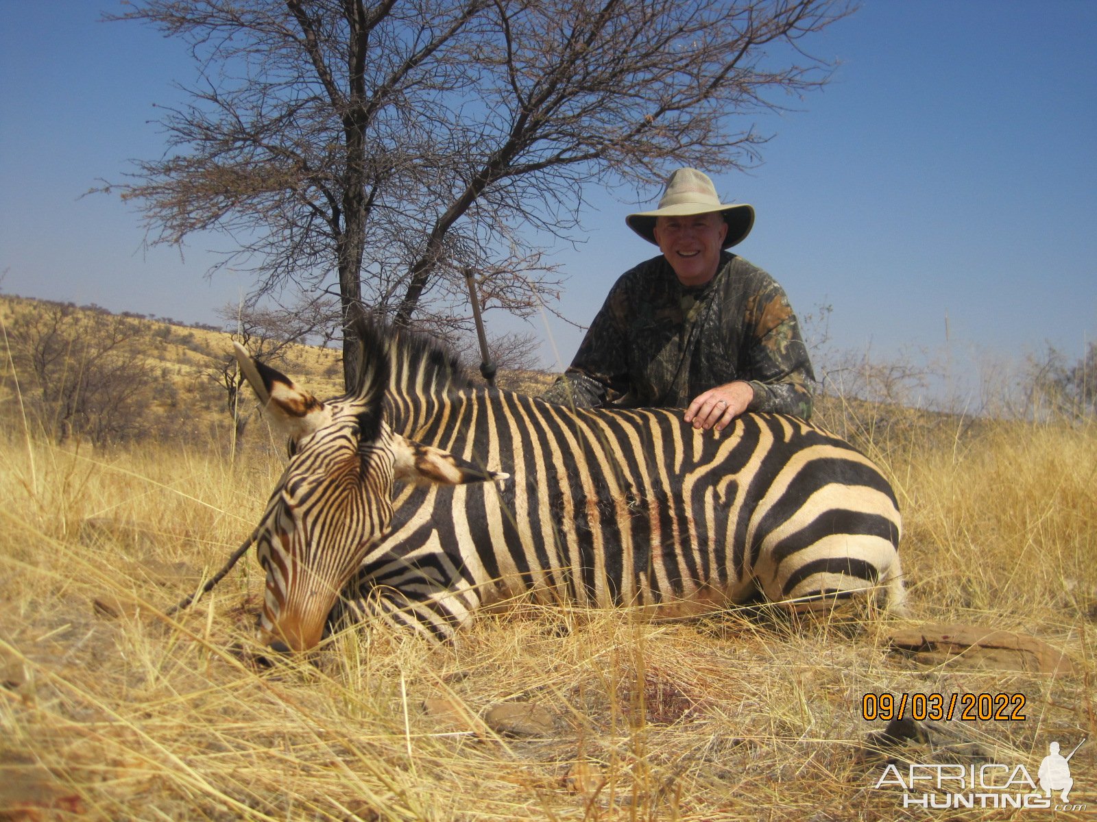 Zebra Hunt Namibia