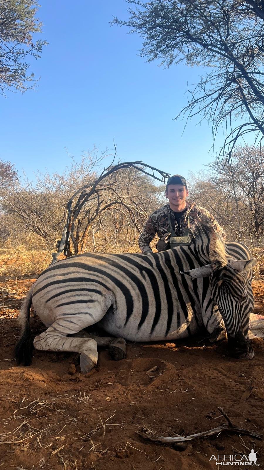 Zebra Hunt Namibia