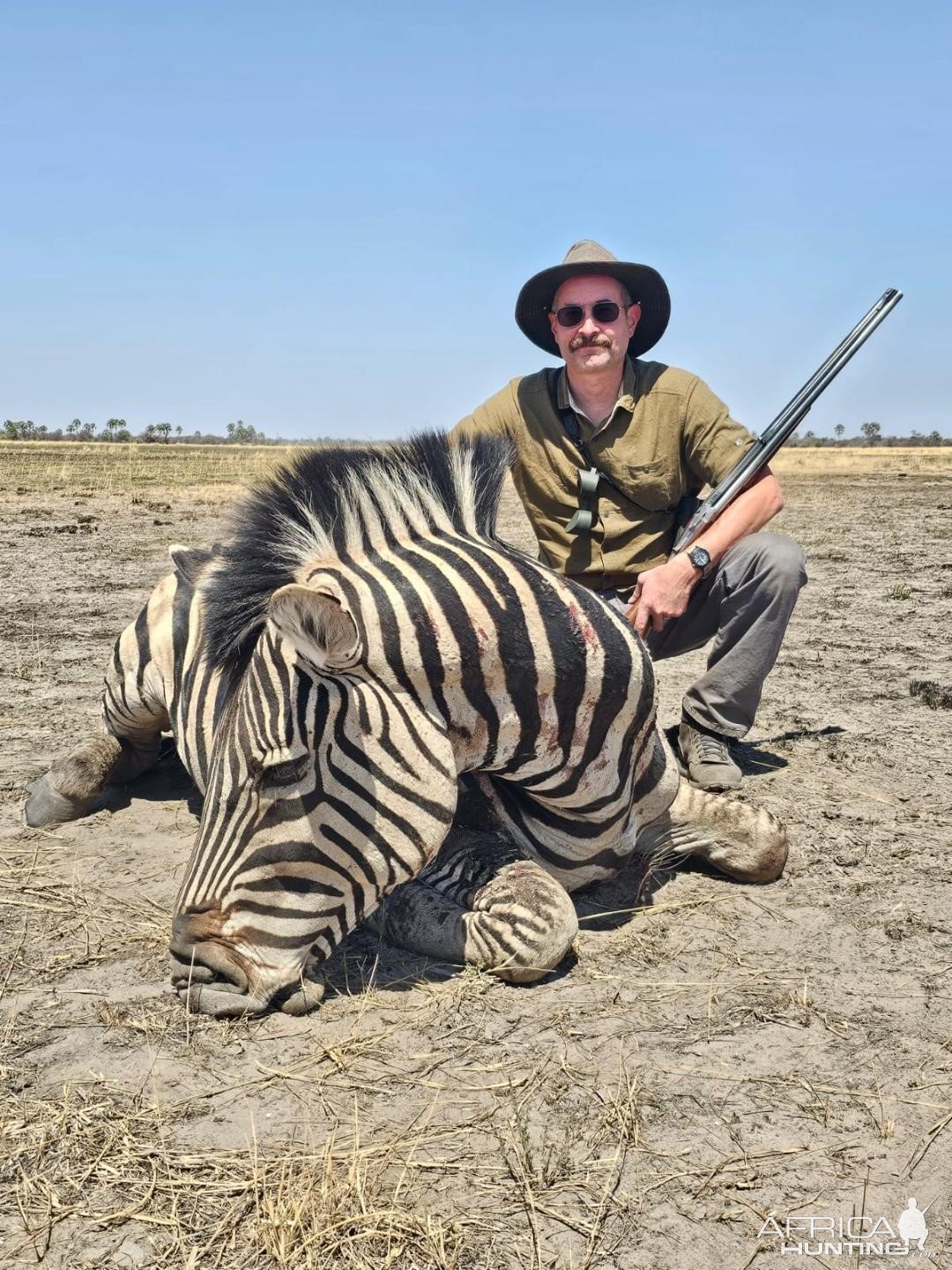 Zebra Hunt Namibia