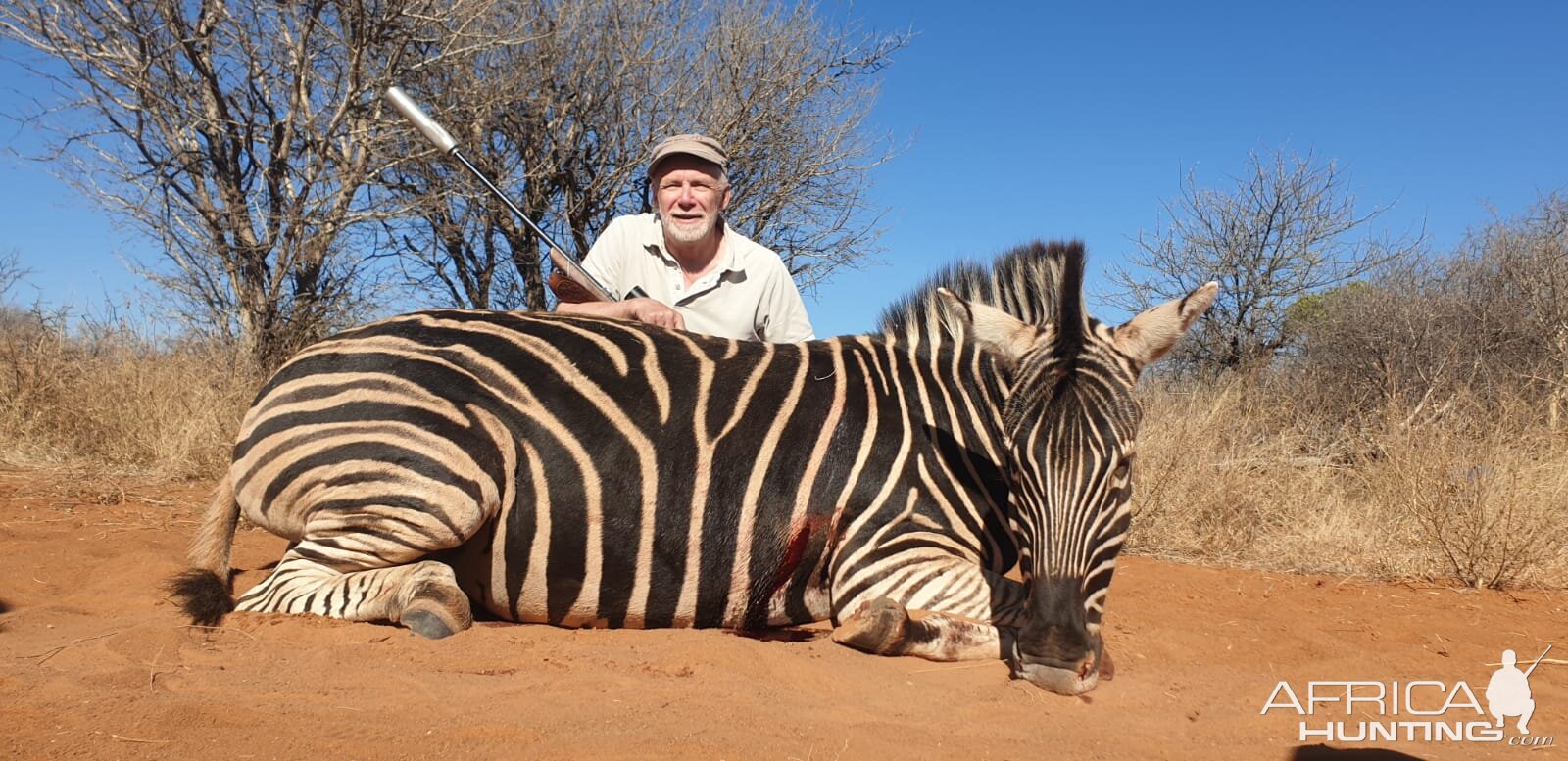 Zebra Hunt South Africa