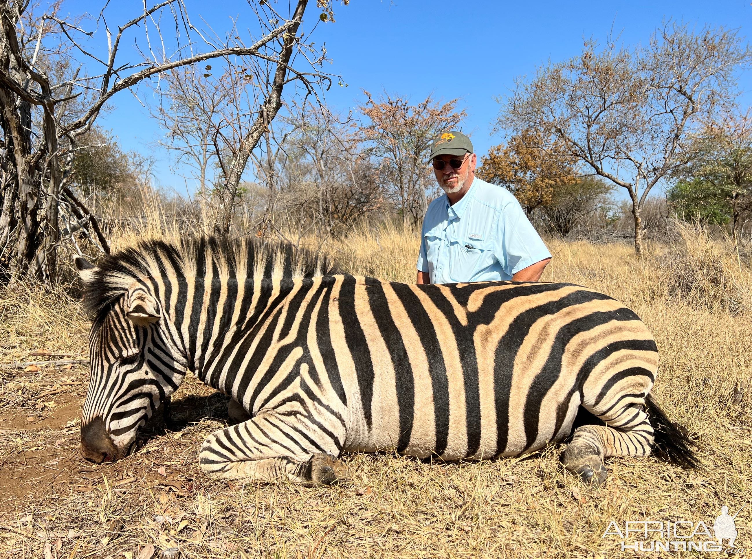 Zebra Hunt South Africa | AfricaHunting.com