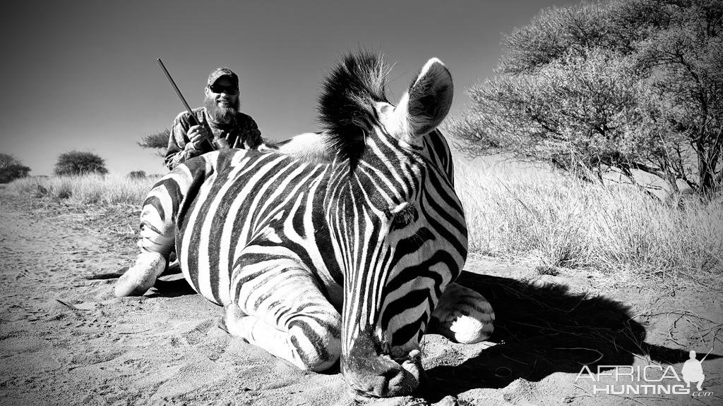 Zebra Hunt South Africa