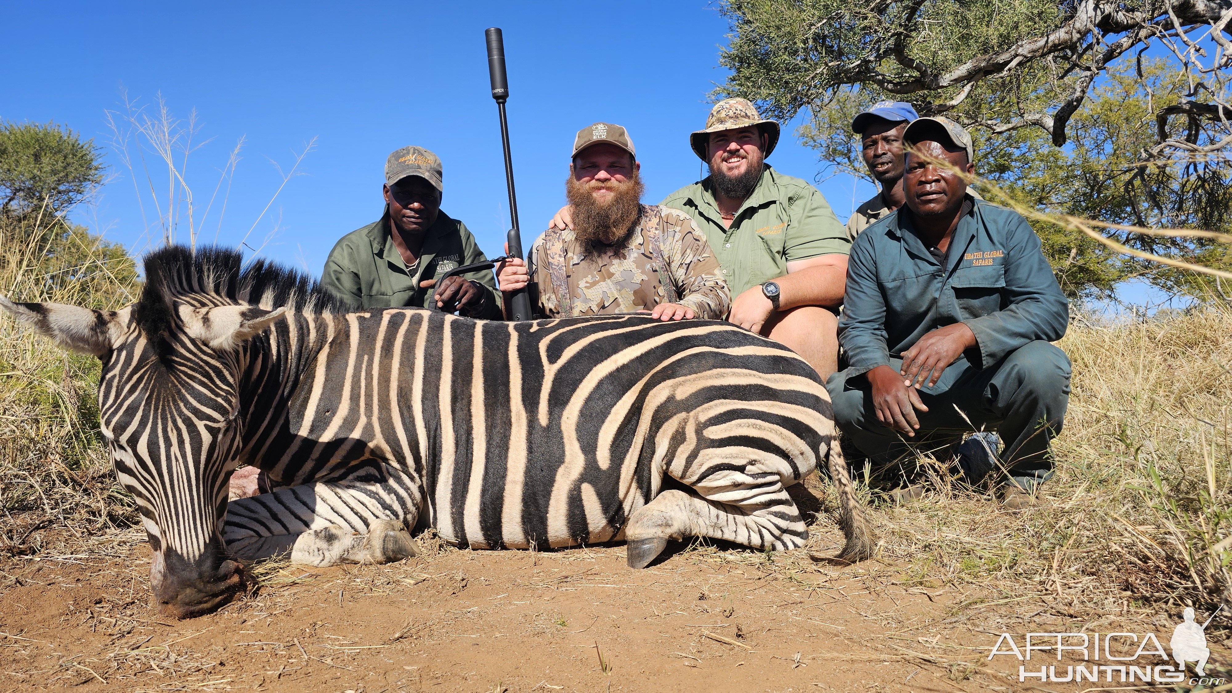 Zebra Hunt South Africa