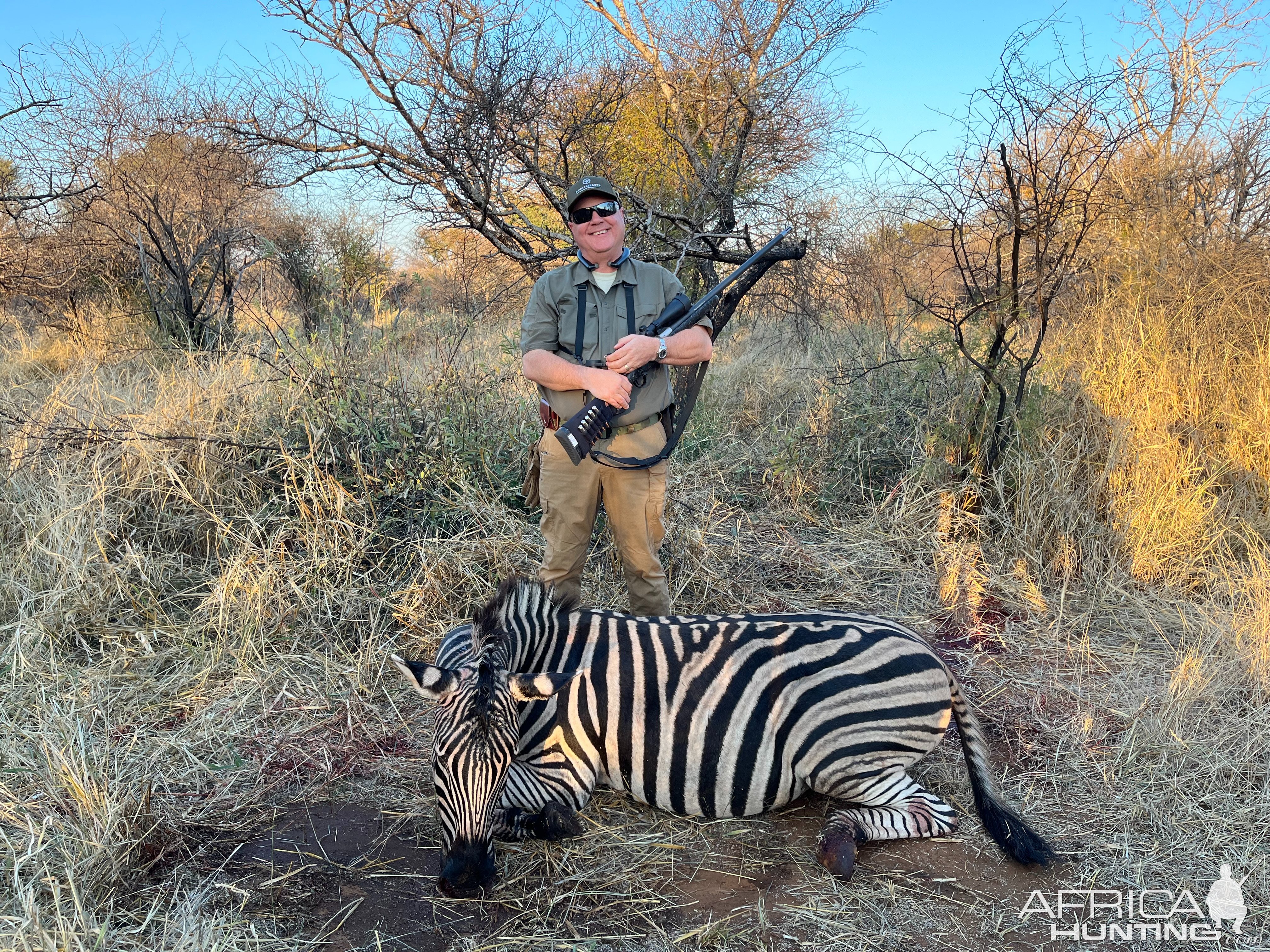 Zebra Hunt South Africa