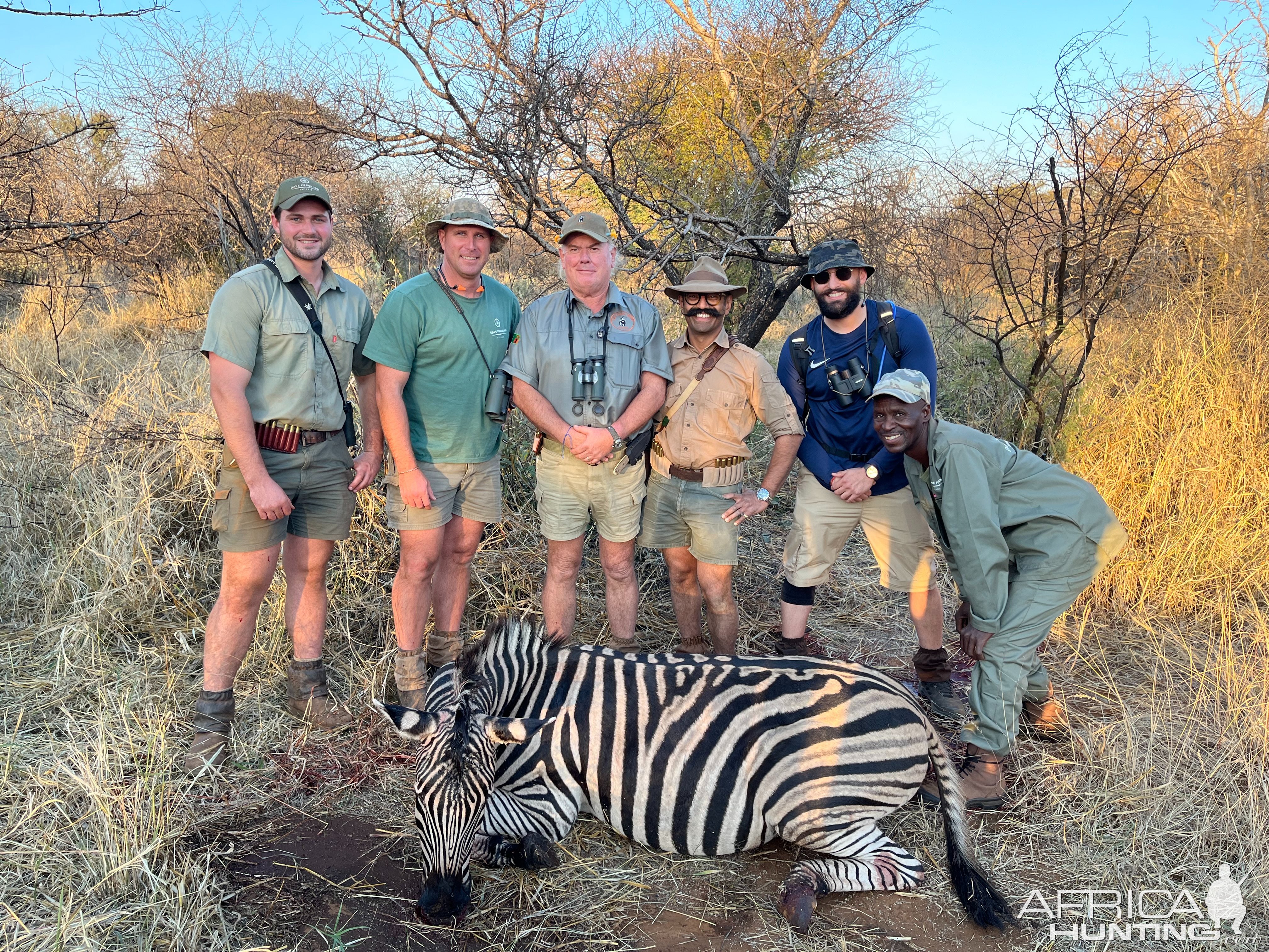 Zebra Hunt South Africa