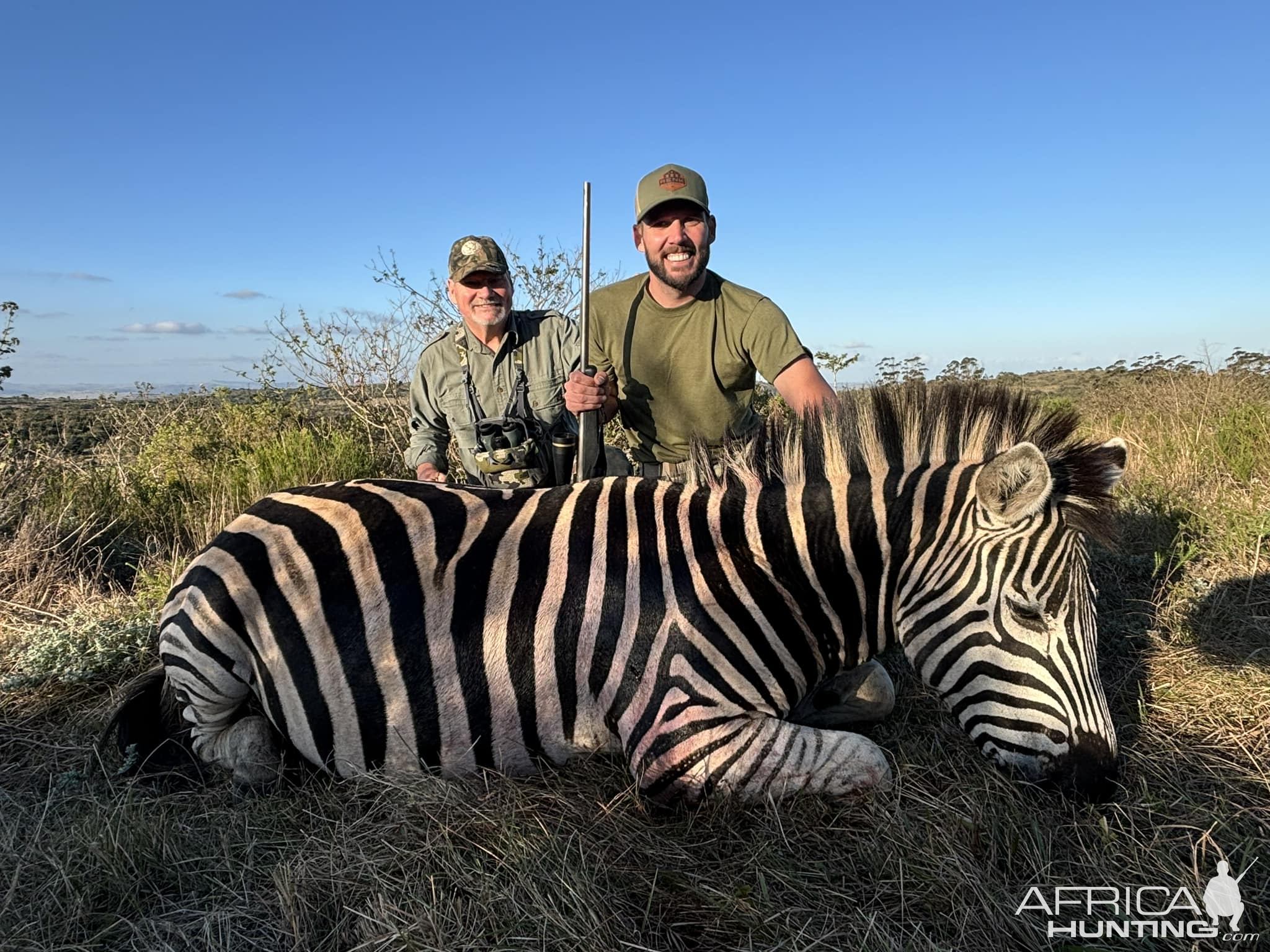 Zebra Hunt South Africa