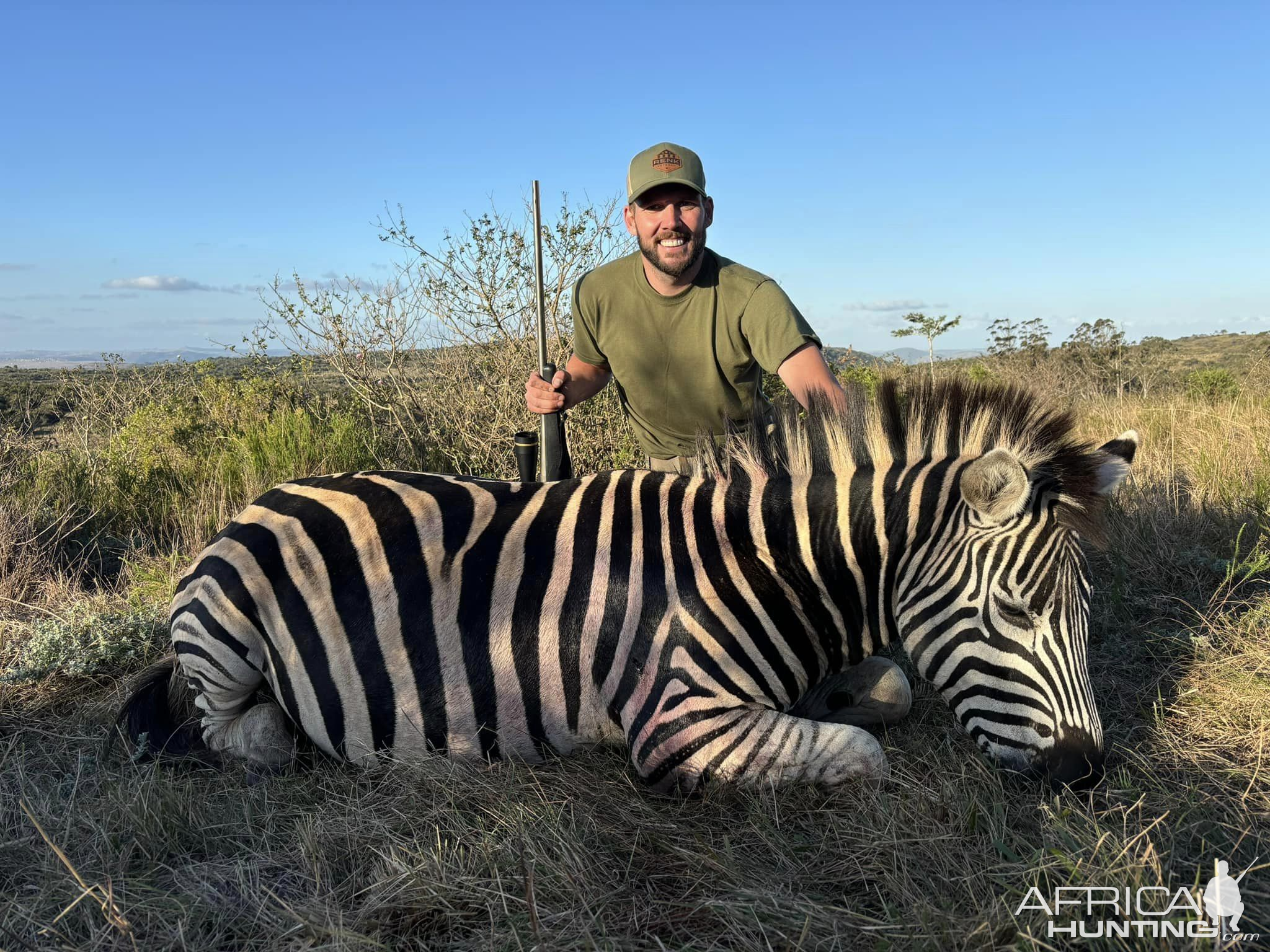 Zebra Hunt South Africa