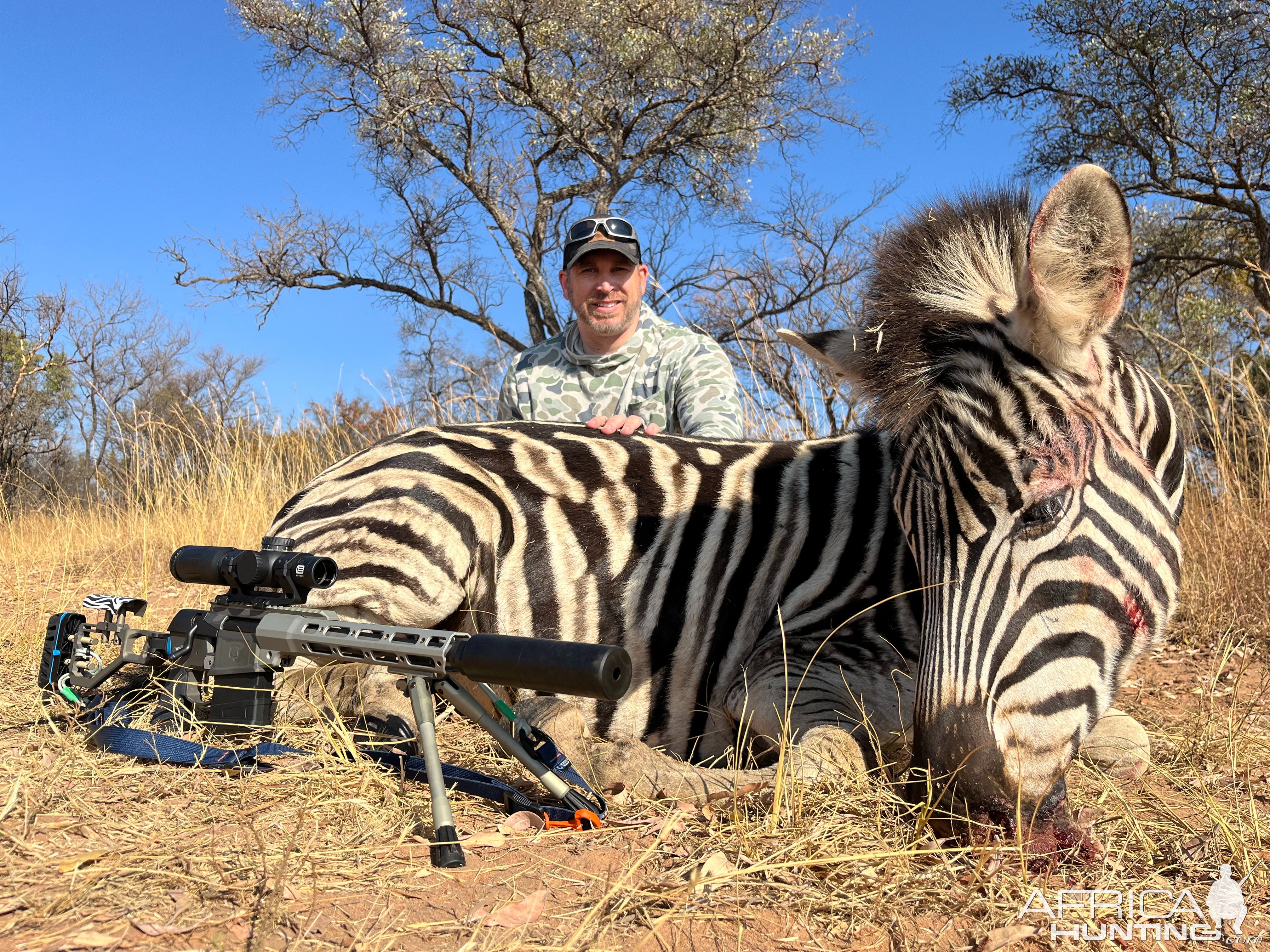 Zebra Hunt South Africa