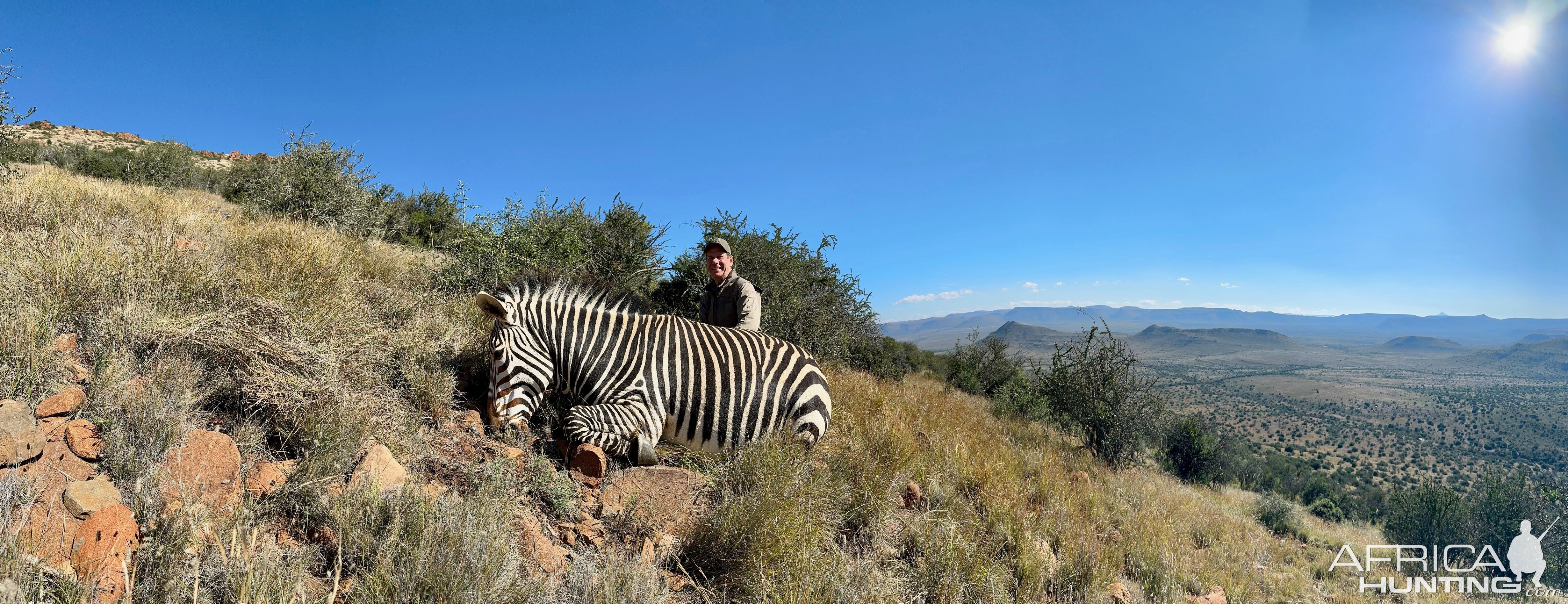 Zebra Hunt South Africa