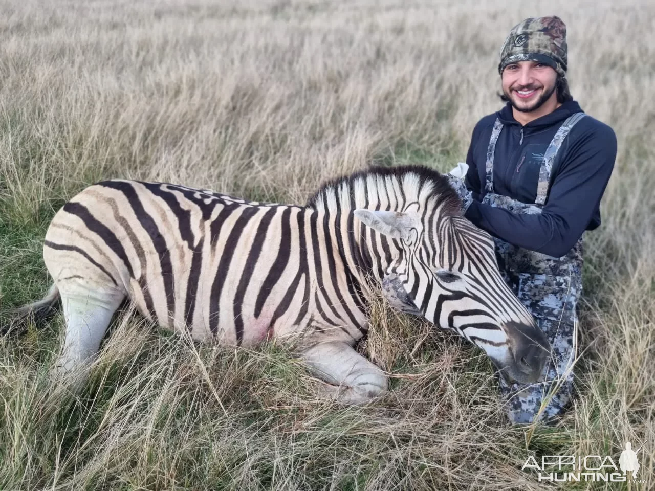 Zebra Hunt South Africa