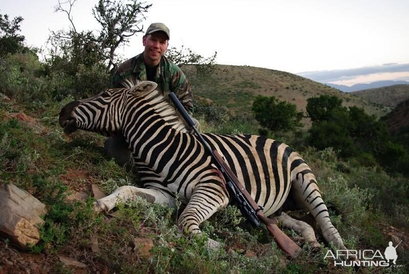 Zebra Hunt South Africa