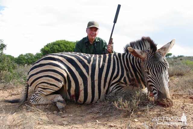 Zebra Hunt South Africa