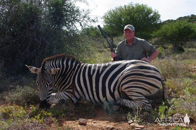 Zebra Hunt South Africa