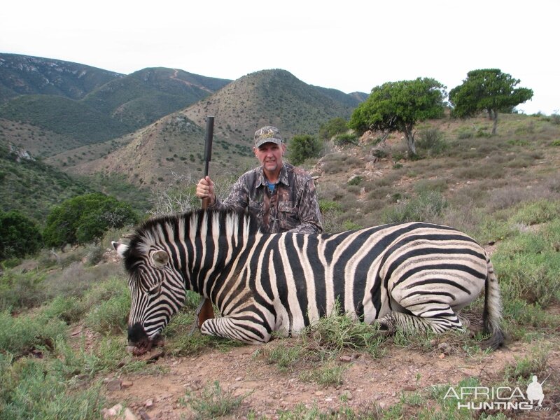 Zebra Hunt South Africa