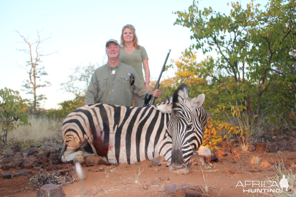 Zebra Hunt South Africa