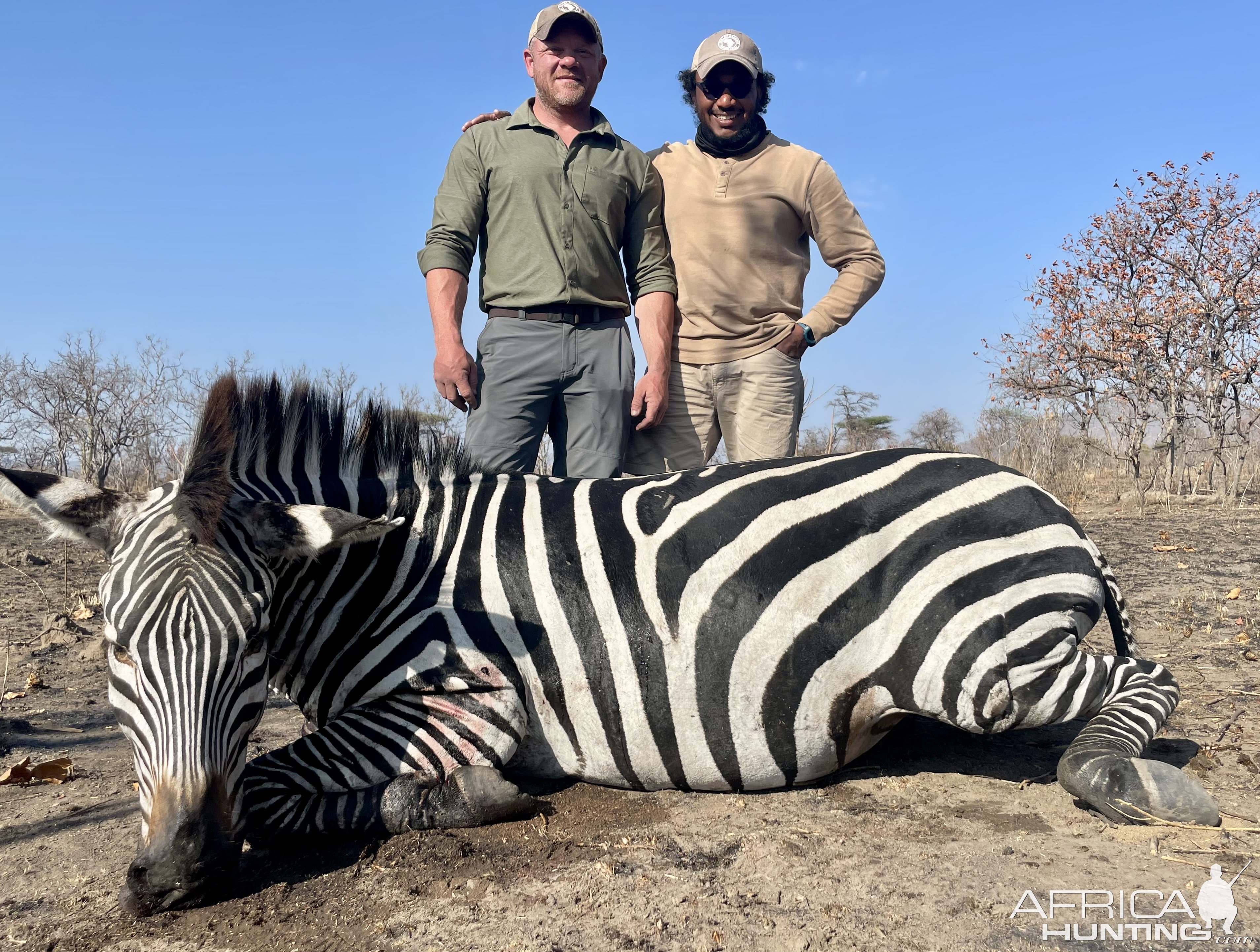 Zebra Hunt Tanzania