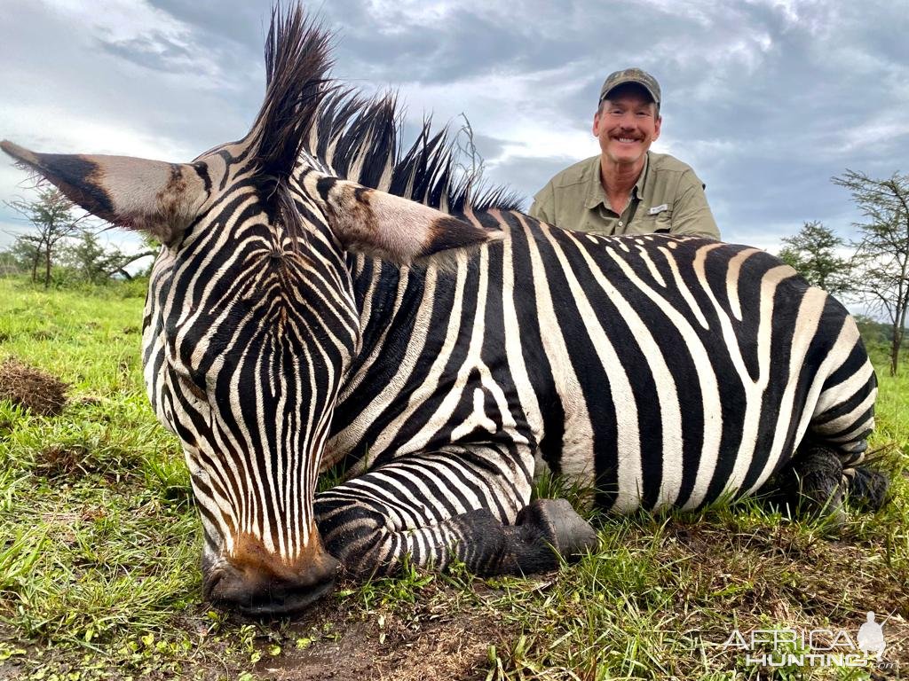 Zebra Hunt Uganda