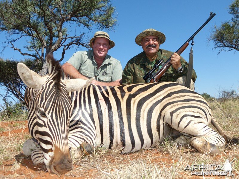 Zebra hunt with Wintershoek Johnny Vivier Safaris