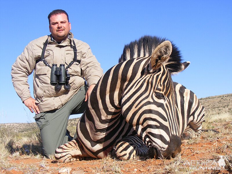 Zebra hunt with Wintershoek Johnny Vivier Safaris