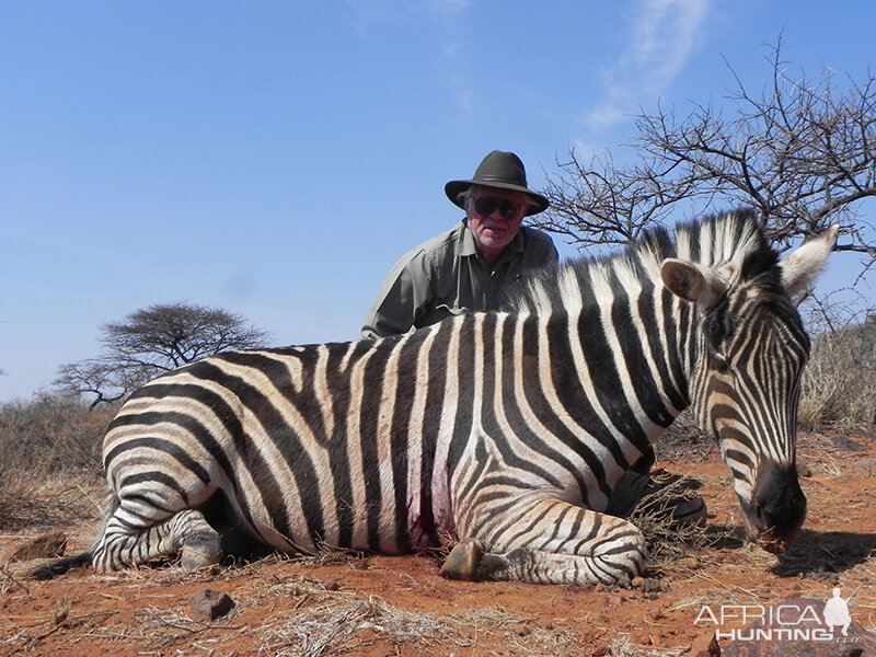 Zebra hunt with Wintershoek Johnny Vivier Safaris