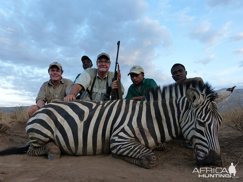 Zebra hunt with Wintershoek Johnny Vivier Safaris