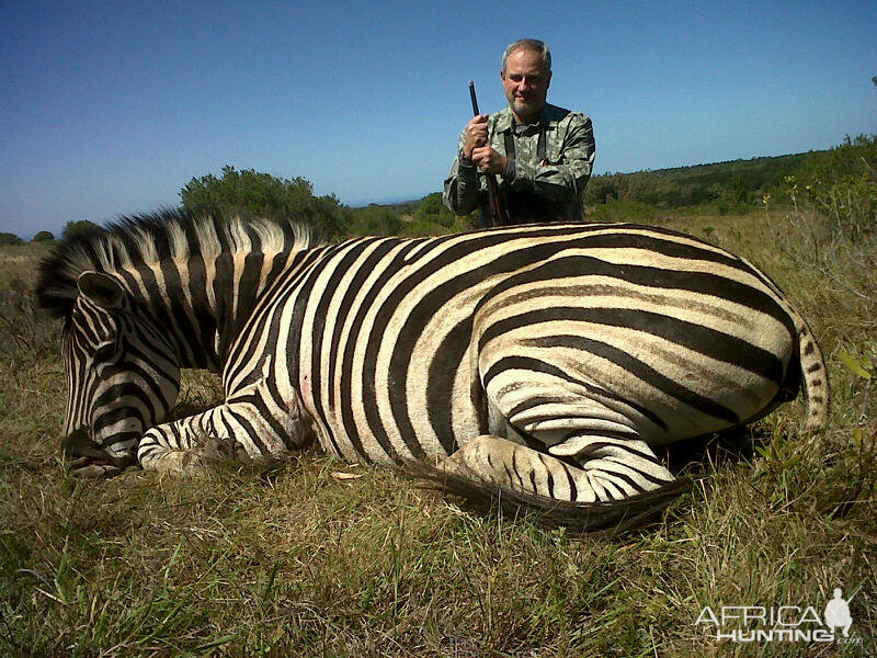 Zebra hunt with Wintershoek Johnny Vivier Safaris