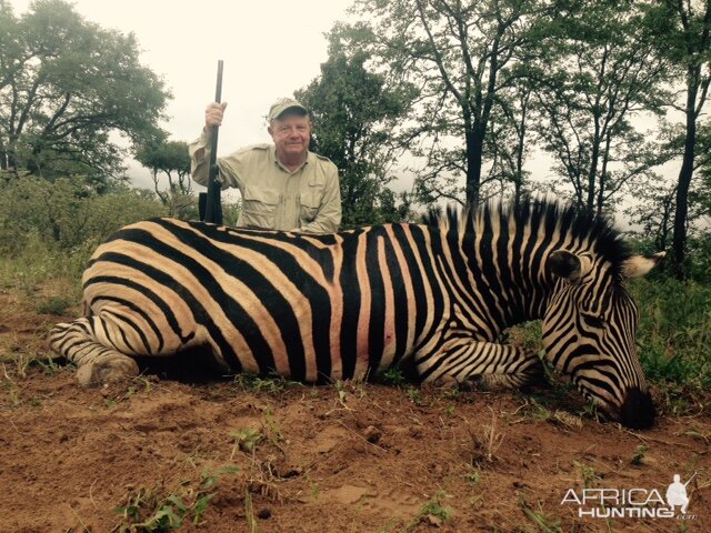 Zebra Hunt Zimbabwe