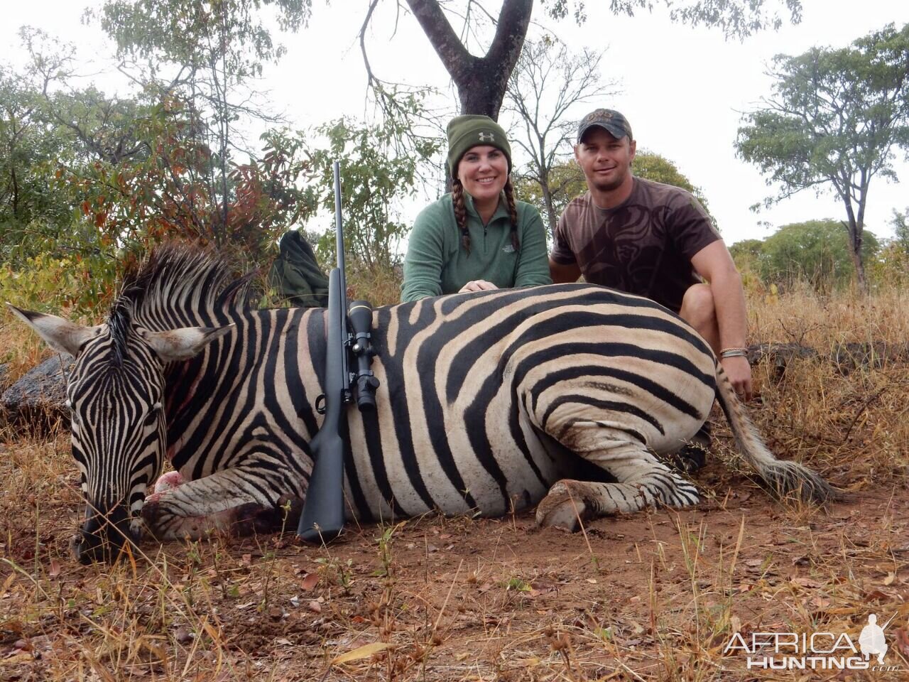 Zebra Hunt Zimbabwe