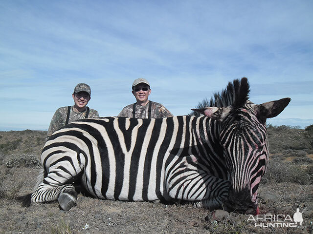 Zebra Hunt