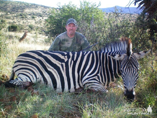 Zebra Hunt