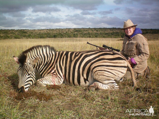 Zebra Hunt