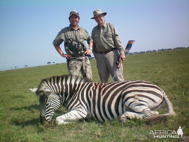 Zebra Hunt