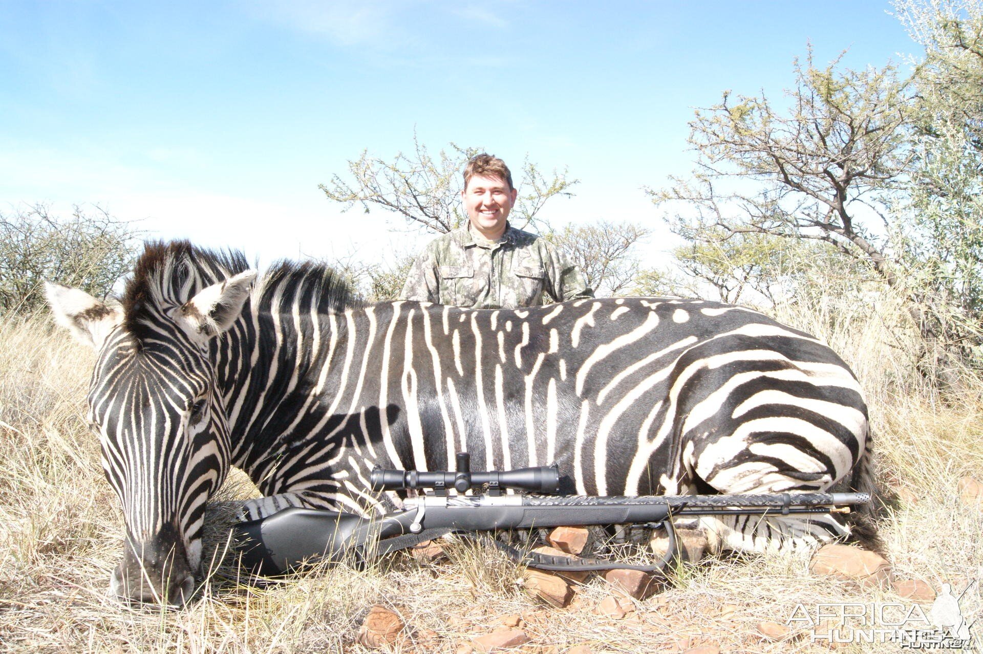 Zebra hunted in South Africa