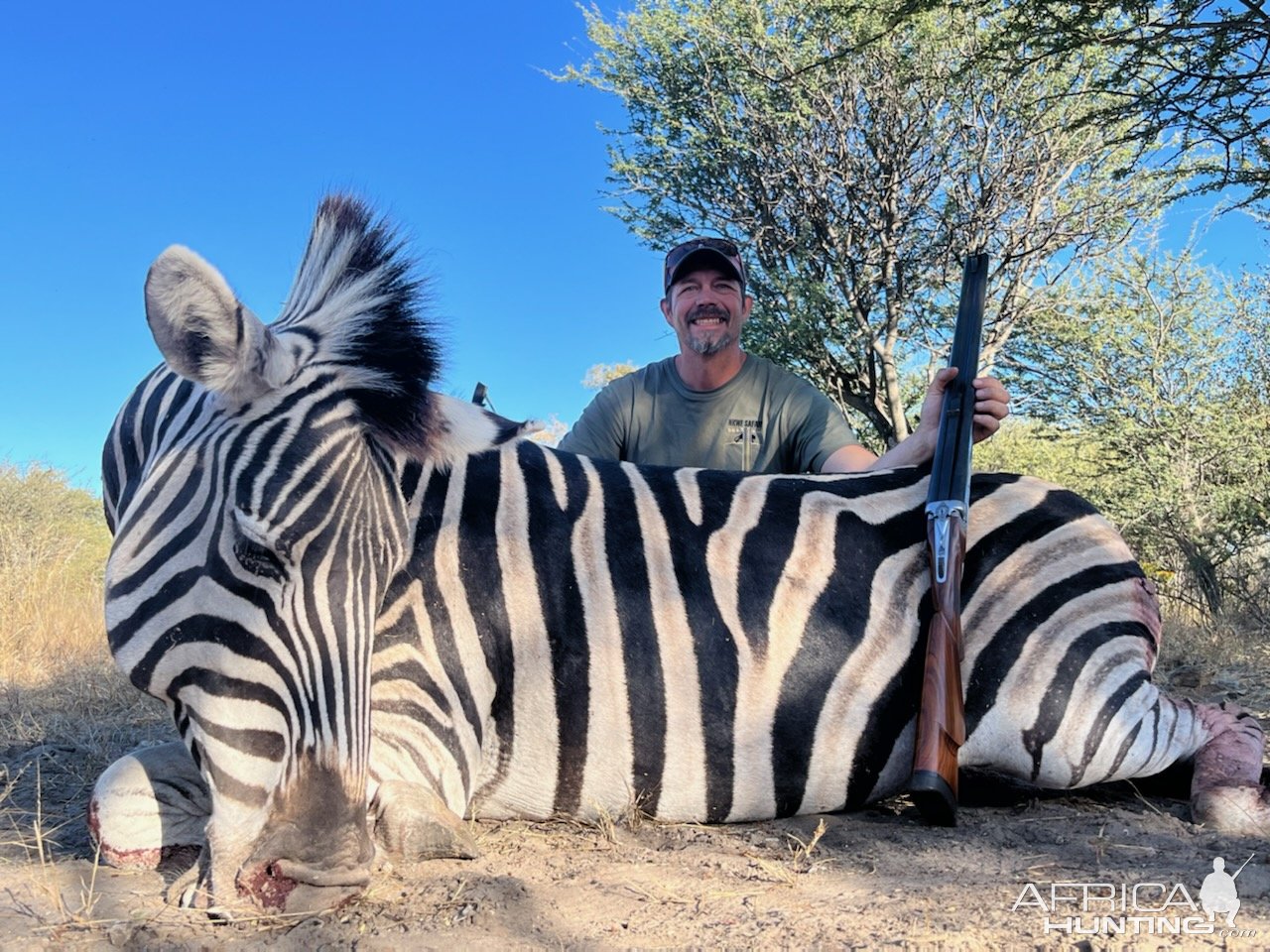 Zebra Hunting Botswana