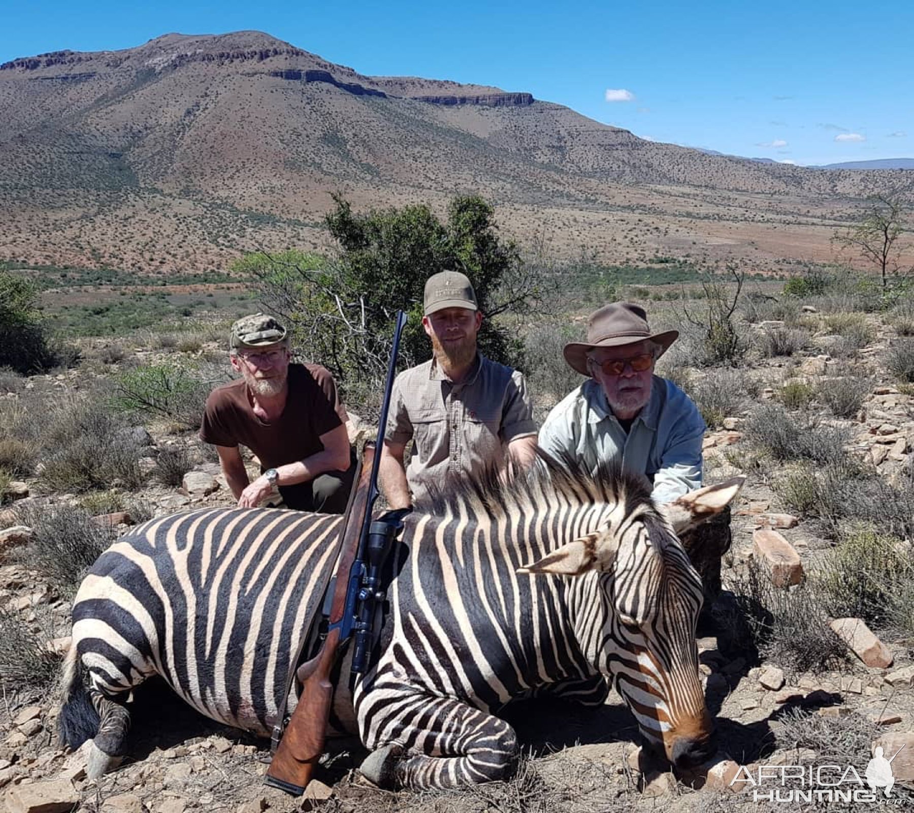 Zebra Hunting Eastern Cape South Africa