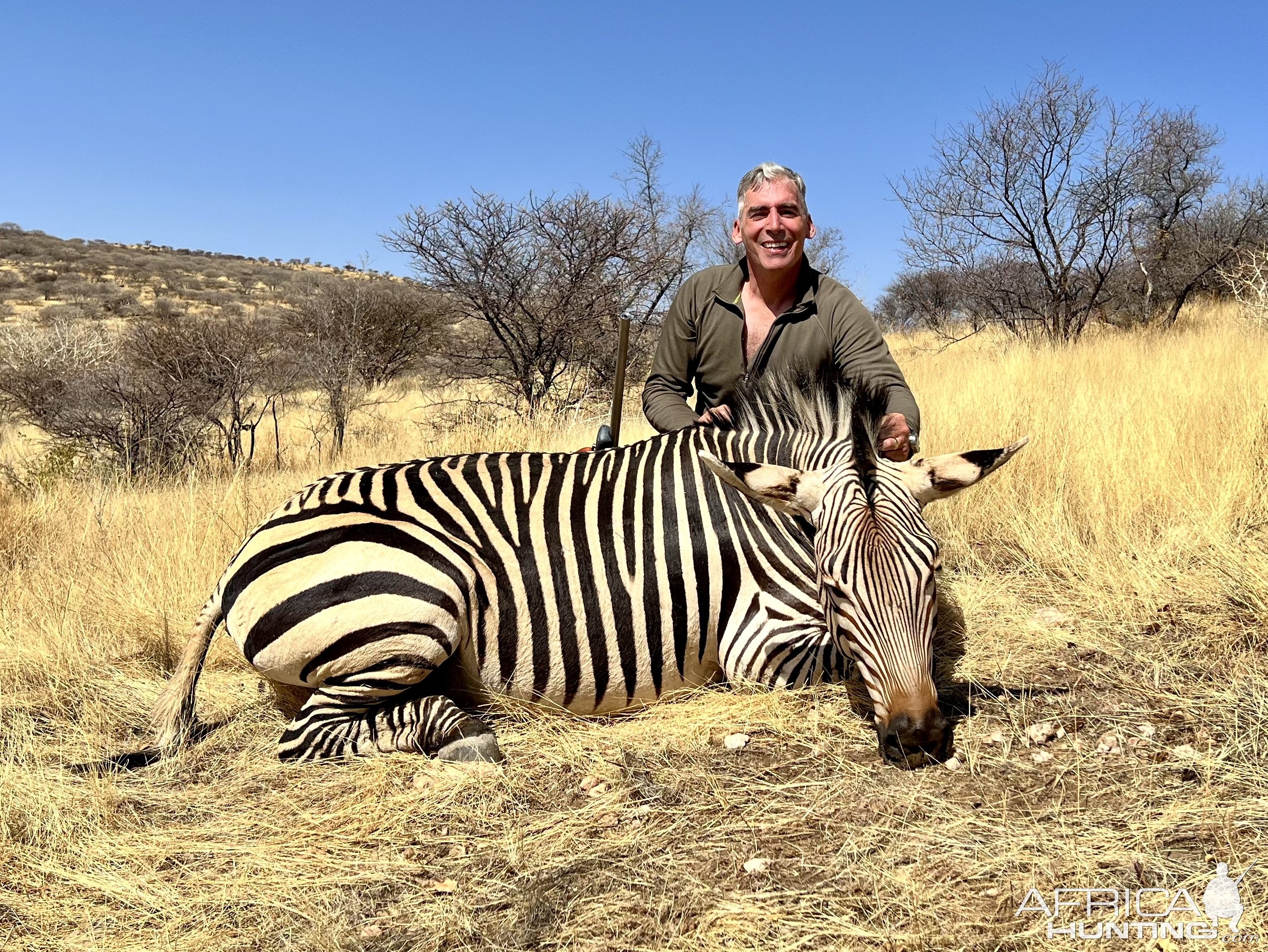 Zebra Hunting Namibia