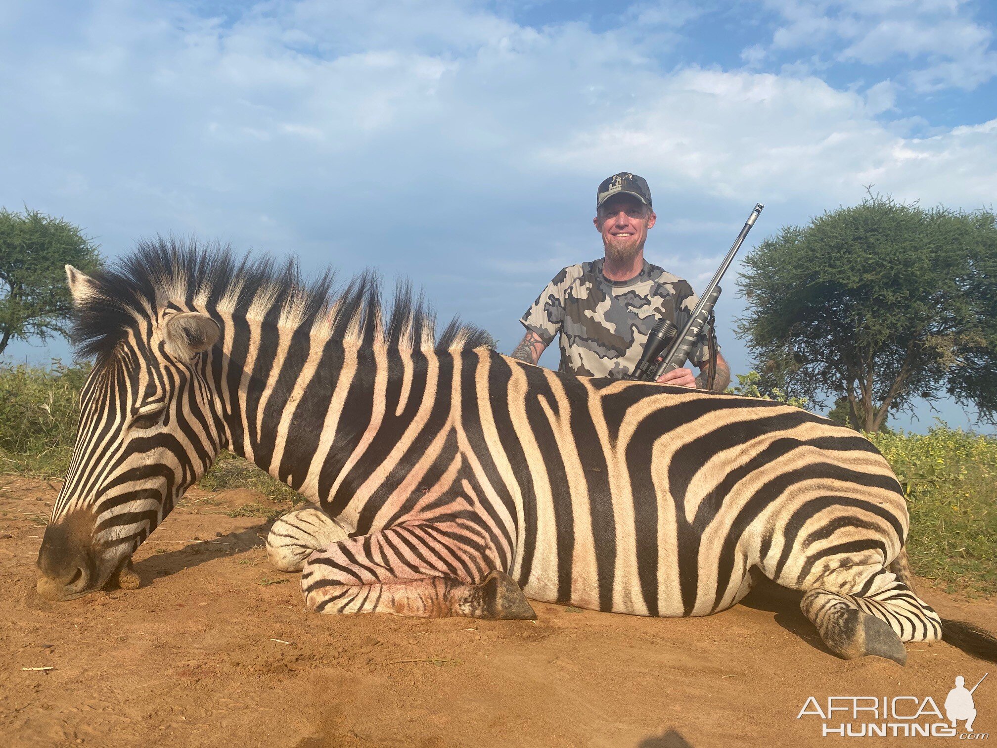 Zebra Hunting South Africa