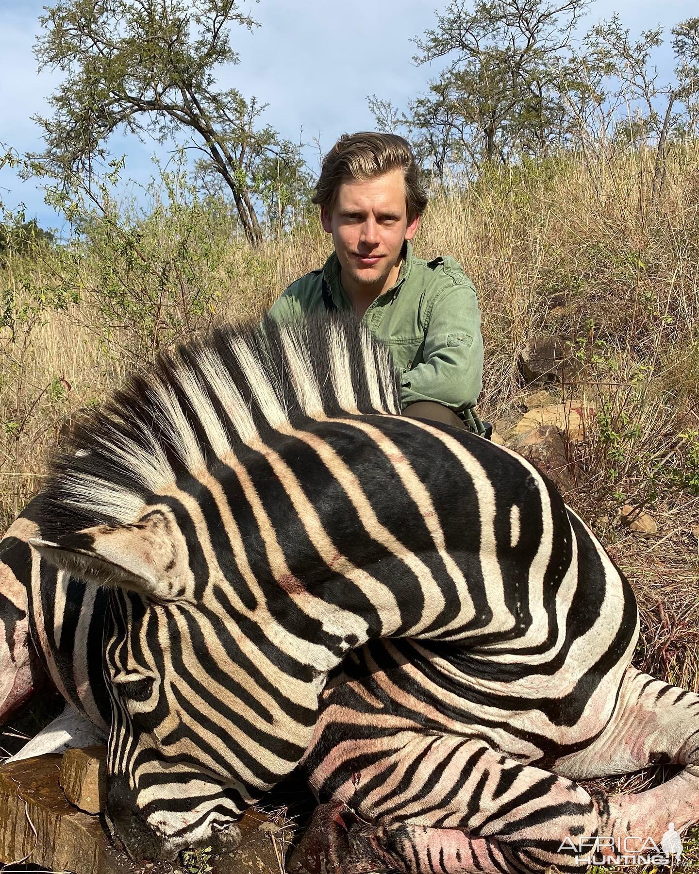 Zebra Hunting South Africa