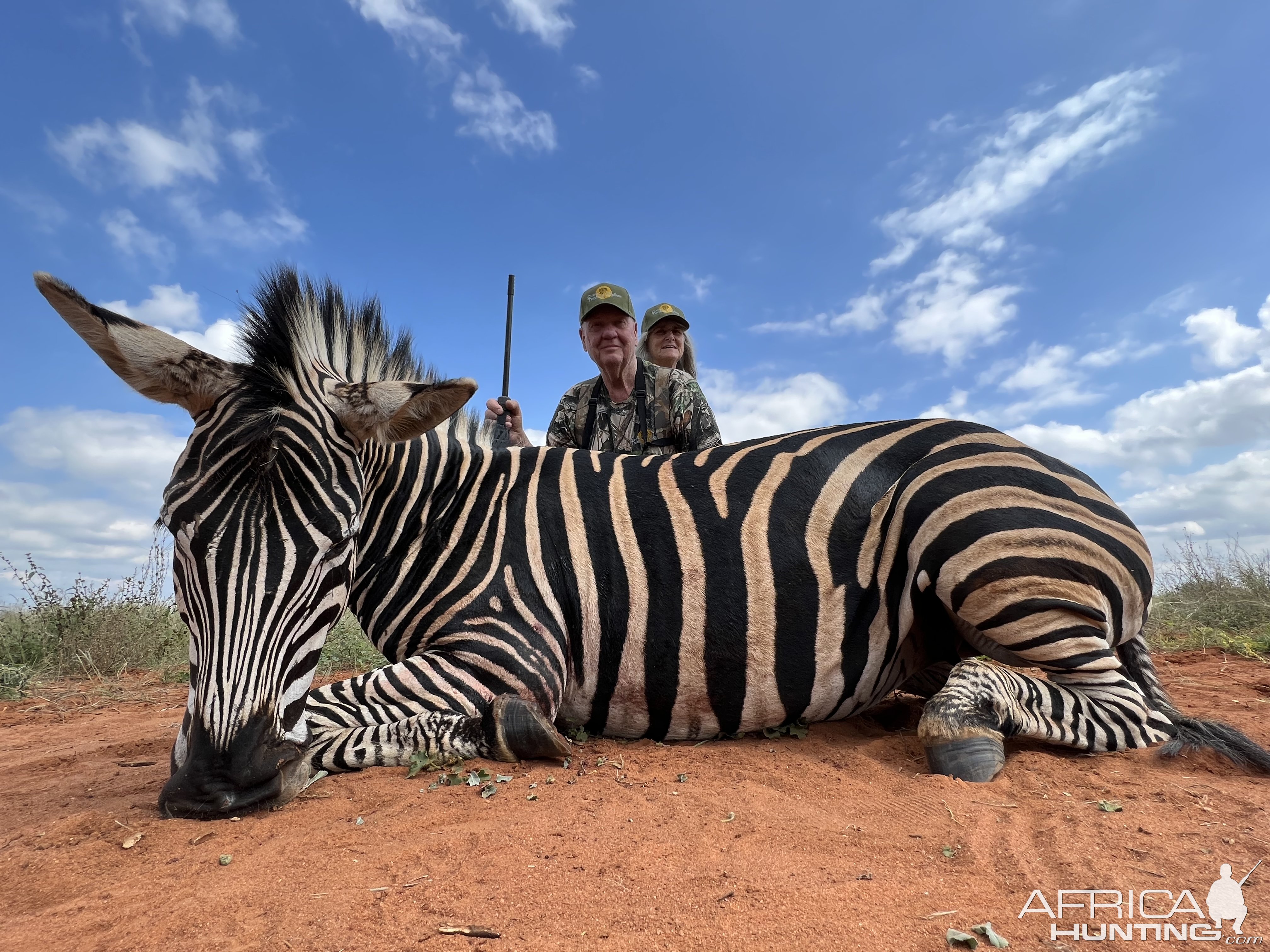 Zebra Hunting South Africa