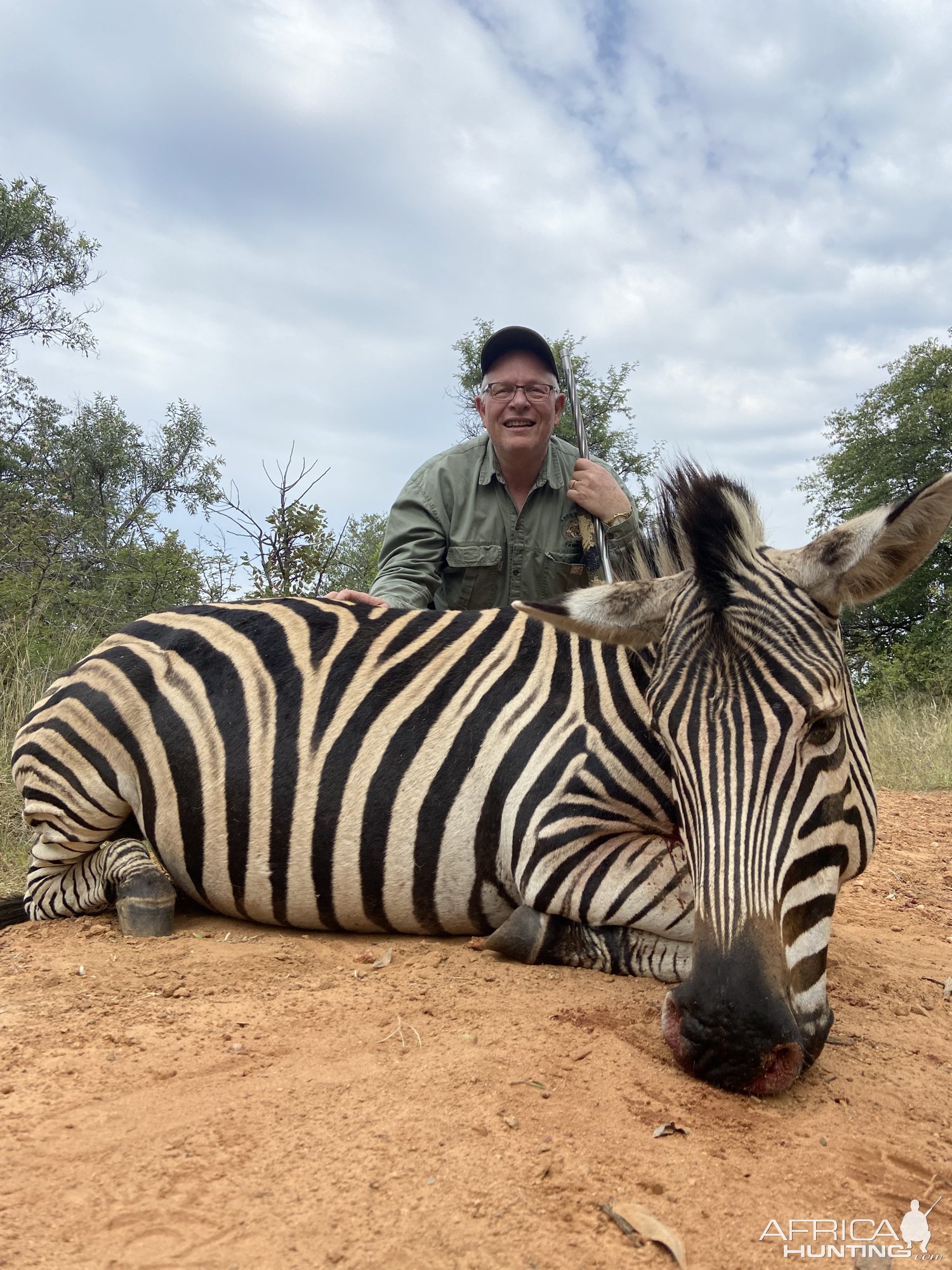 Zebra Hunting South Africa