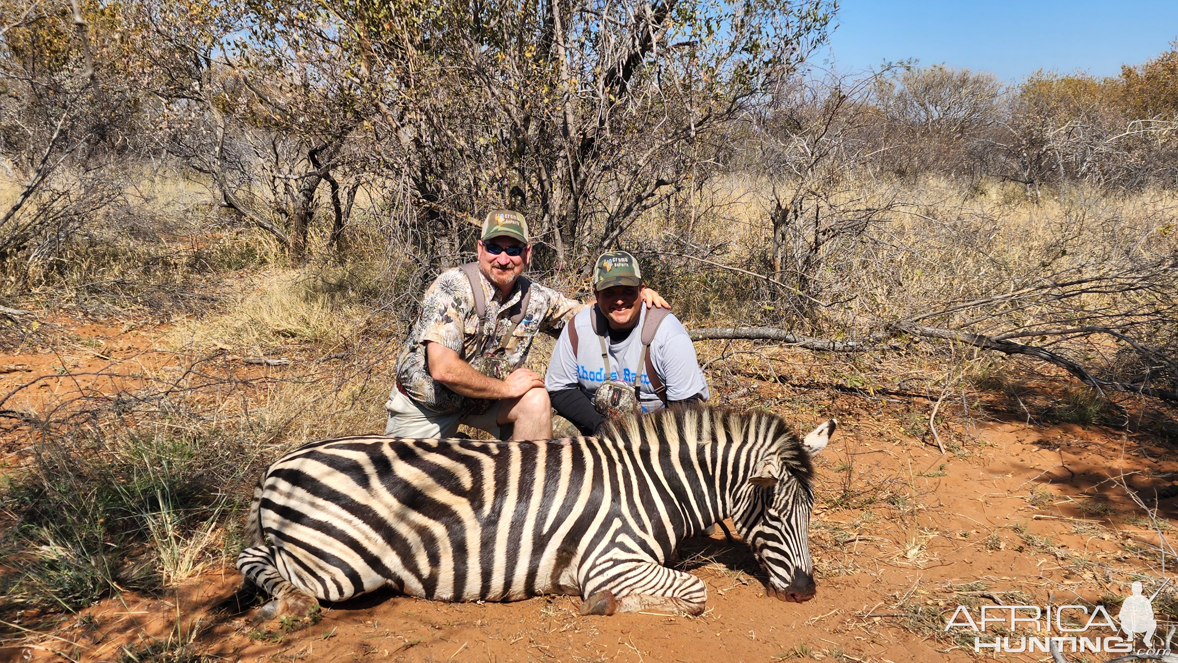 Zebra Hunting South Africa