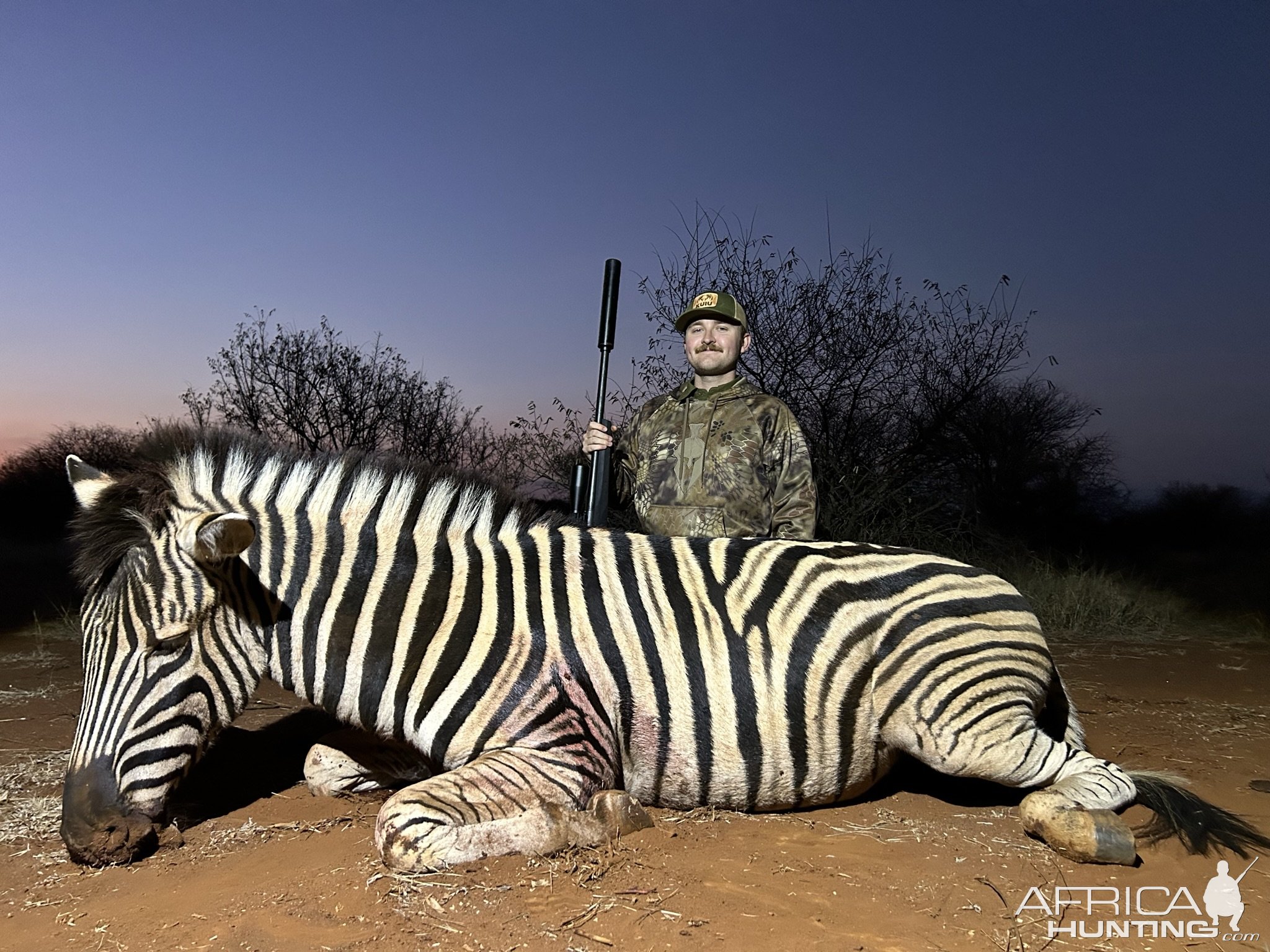 Zebra Hunting South Africa