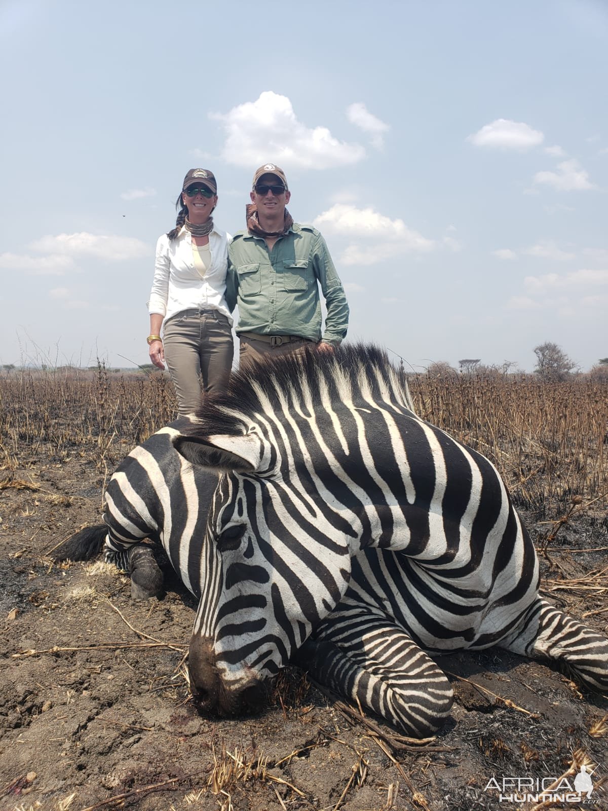 Zebra Hunting Tanzania