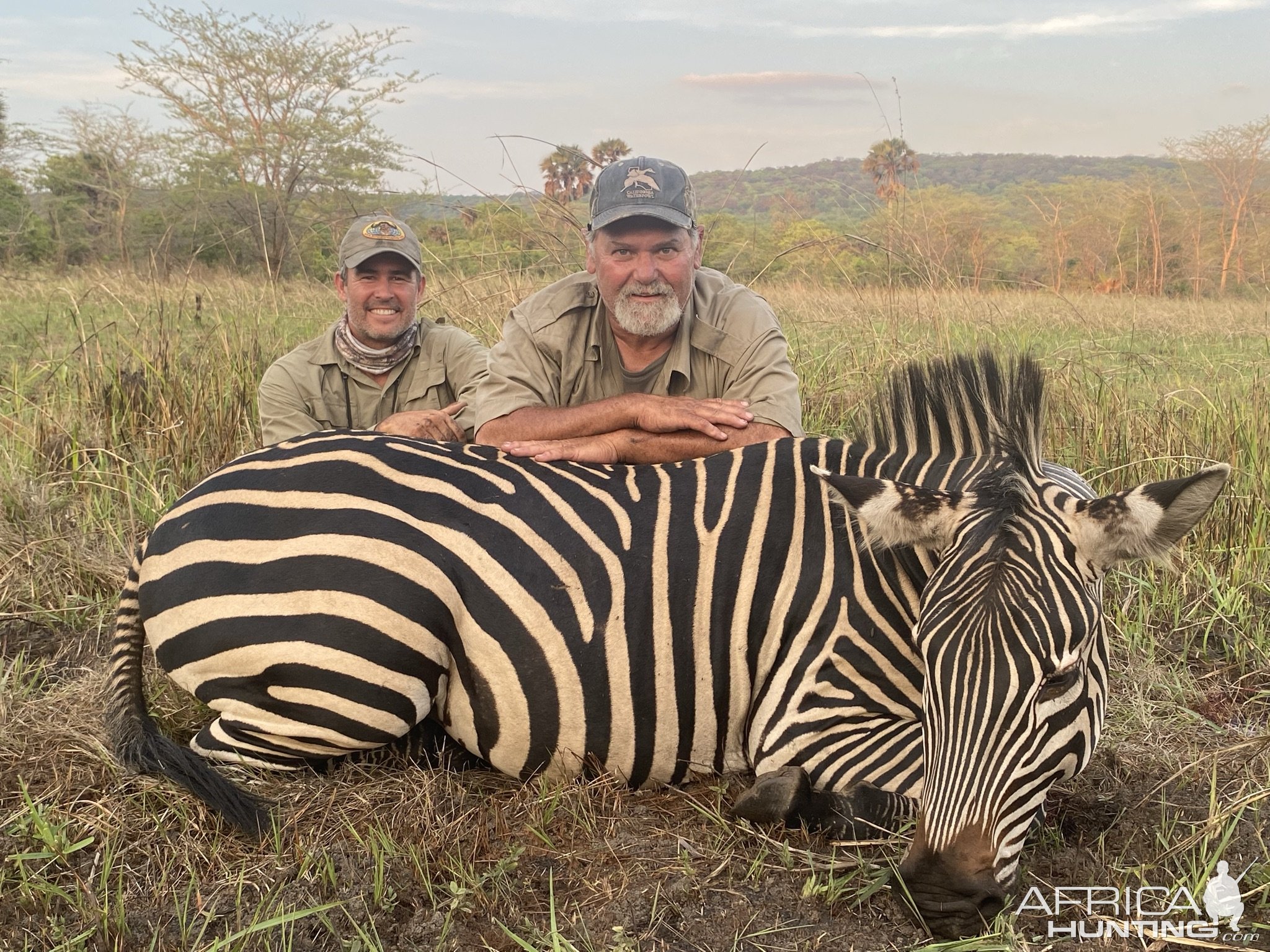 Zebra Hunting Tanzania