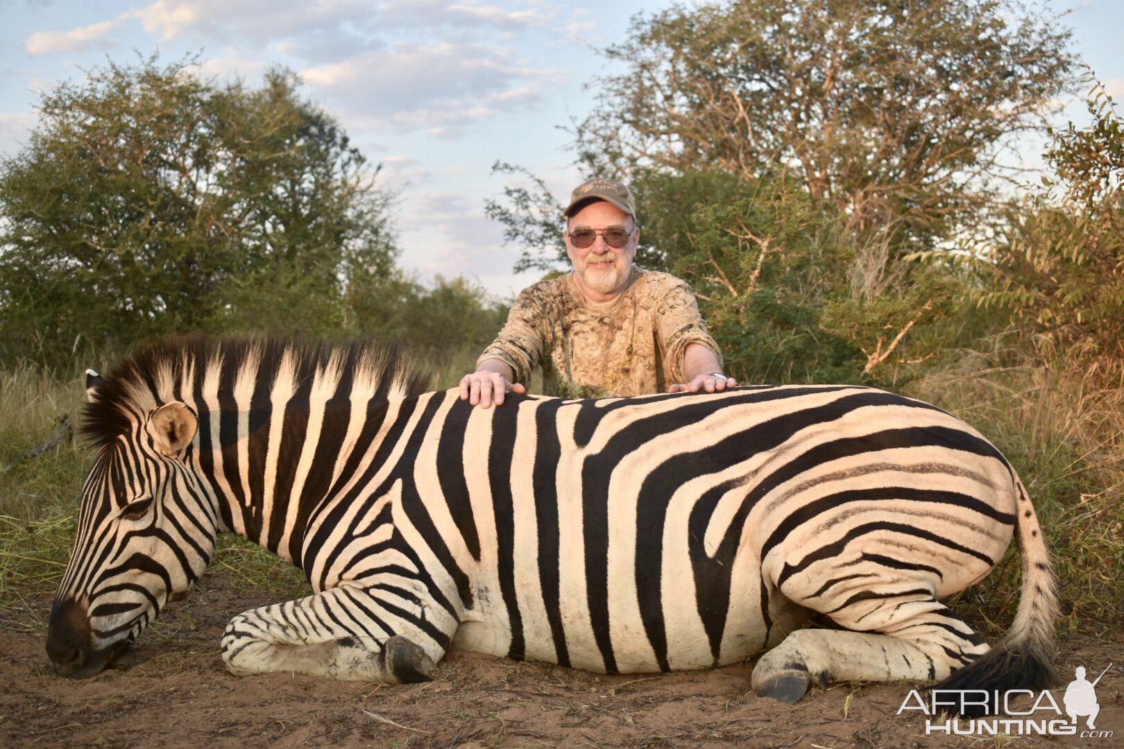 Zebra Hunting