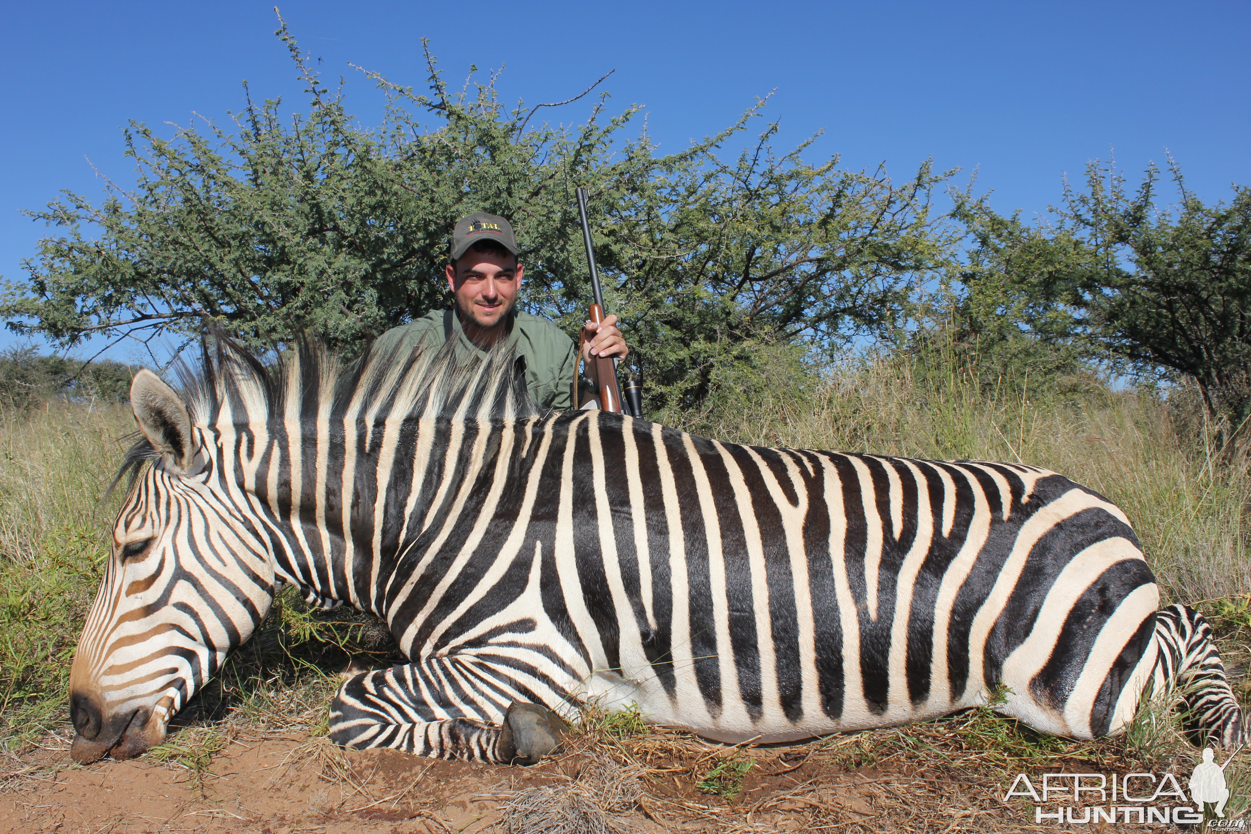 Zebra Namibia 2012