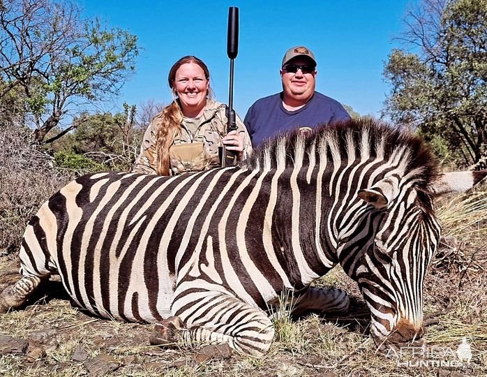 Zebra North West Province South Africa