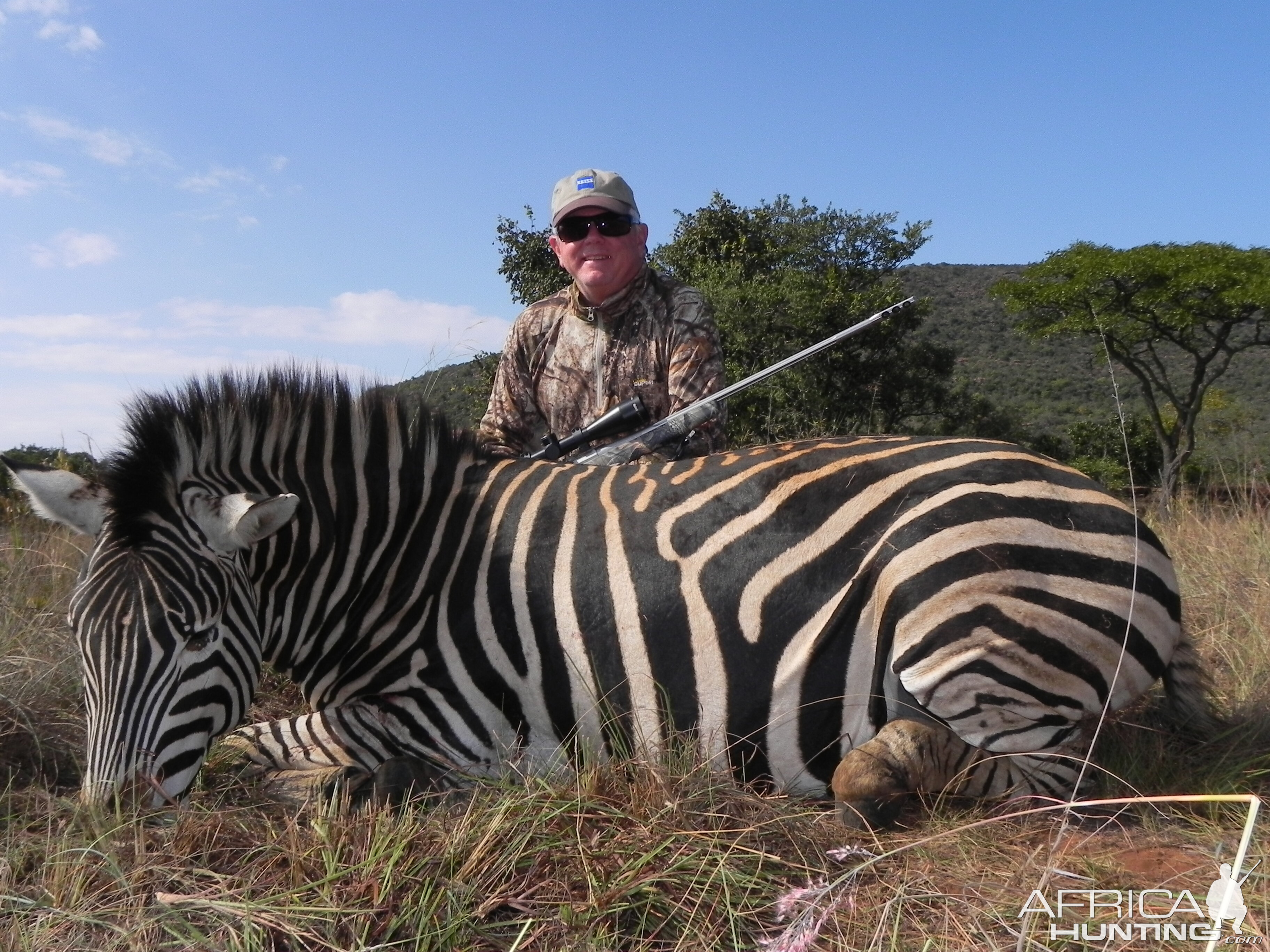 Zebra  Stallion   at O.M. Wettstein Safaris