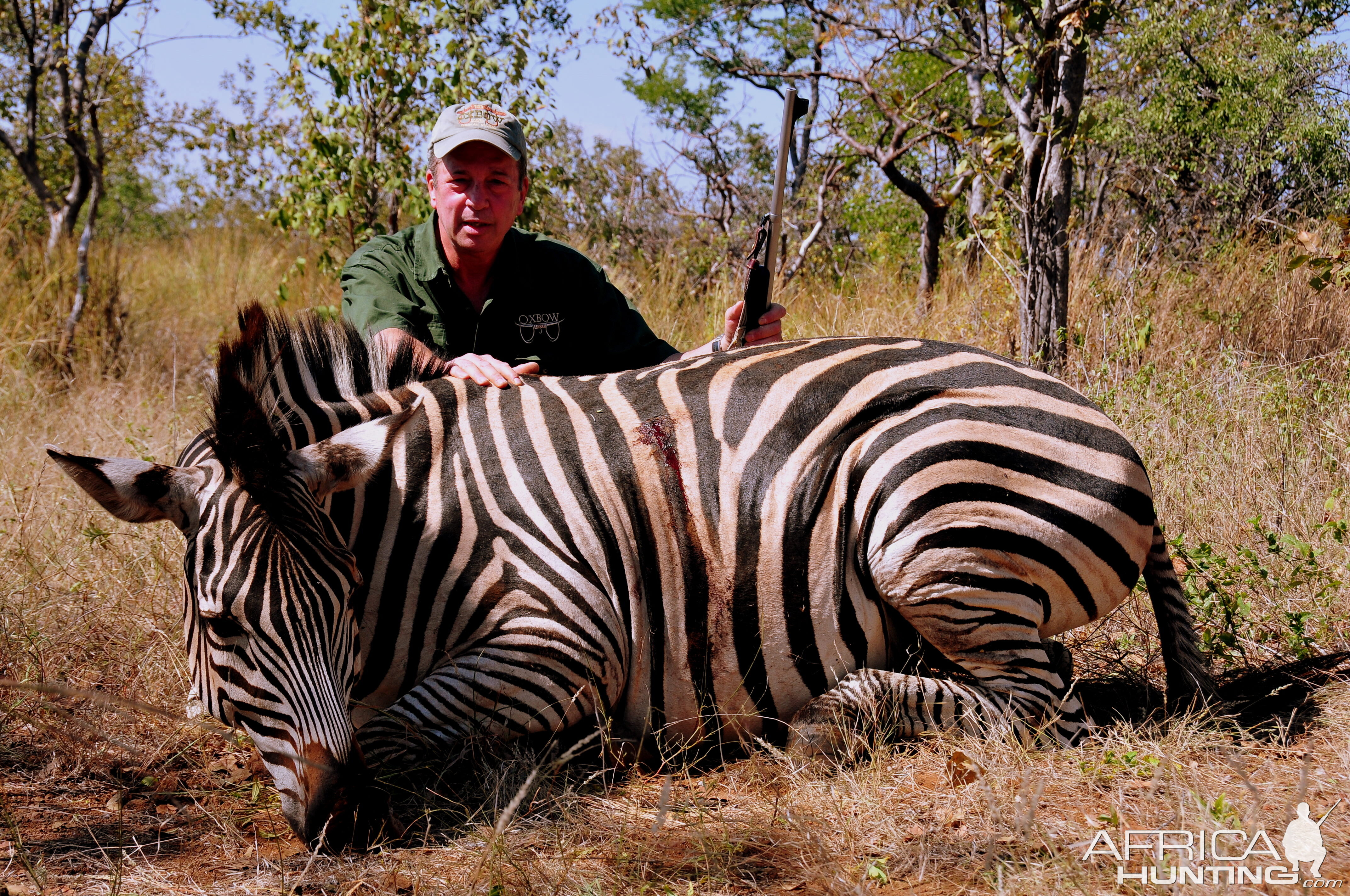 Zebra taken in Zimbabwe Matetsi Preserve