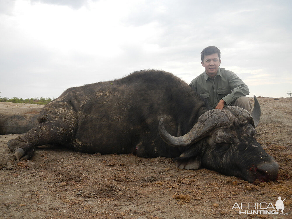 Zimbabwe 2012 1st Buffalo